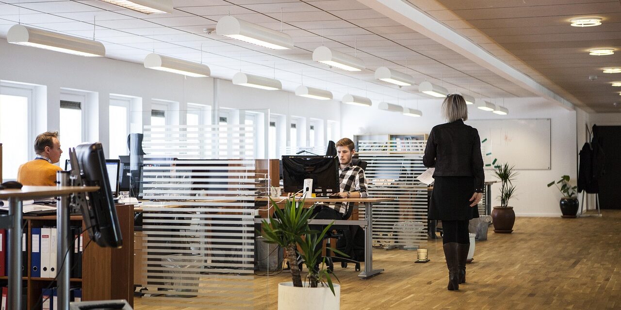 How Forming a U.S. Business Entity Can Protect Your Global Operations