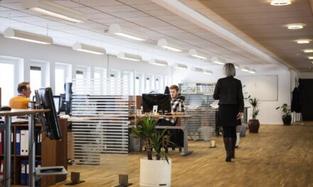 How Forming a U.S. Business Entity Can Protect Your Global Operations