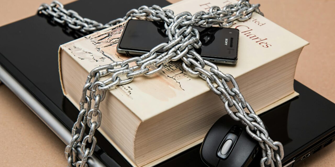 Data Privacy Compliance: What International Entrepreneurs Must Know Before Doing Business in the U.S.
