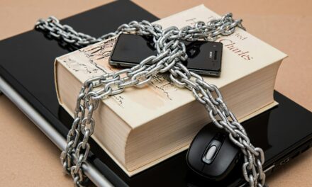 Data Privacy Compliance: What International Entrepreneurs Must Know Before Doing Business in the U.S.