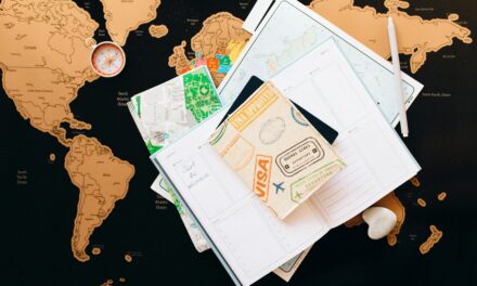 U.S. Visa and Immigration Challenges: How to Navigate the Complex U.S. Immigration System Successfully